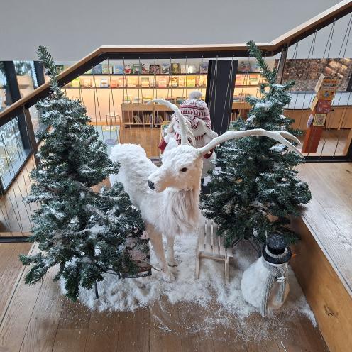 Juleudstilling med rensdyr og grantræer på biblioteket i Gilleleje.
